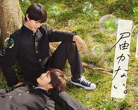 seo搜索引擎优化总结体会